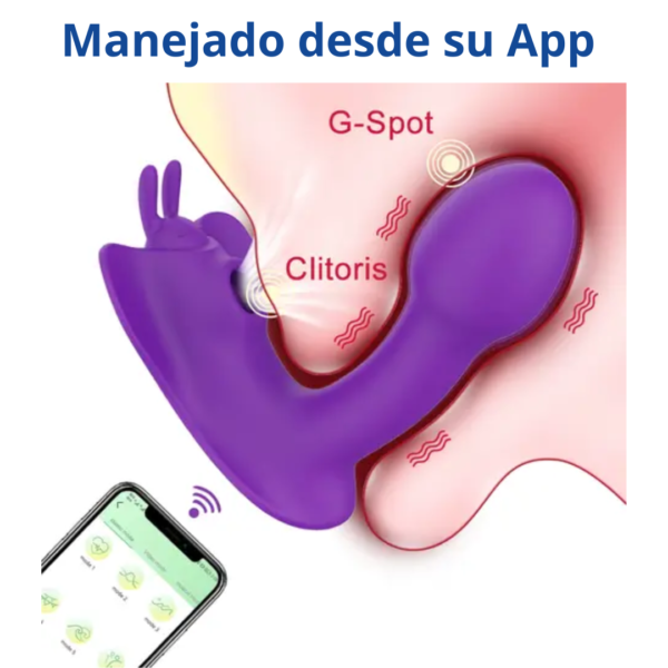 Gráfico ilustrativo de la anatomía íntima mostrando cómo el vibrador mariposa con app estimula simultáneamente el punto G mediante vibración profunda y el clítoris por succión de aire.